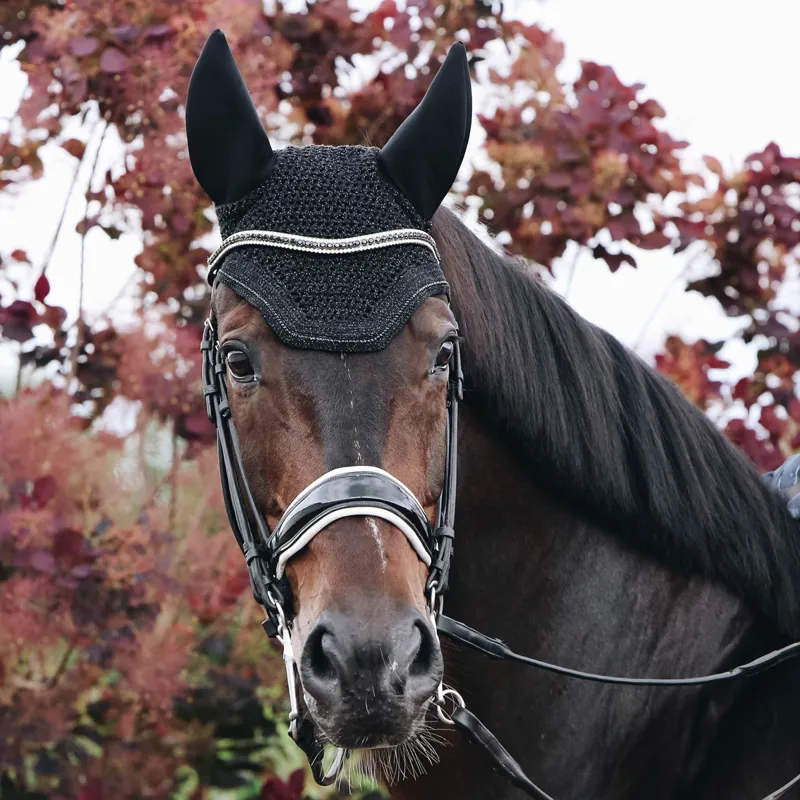 Kentucky Wellington Sparkling Soundless Fly Veil - Black-1