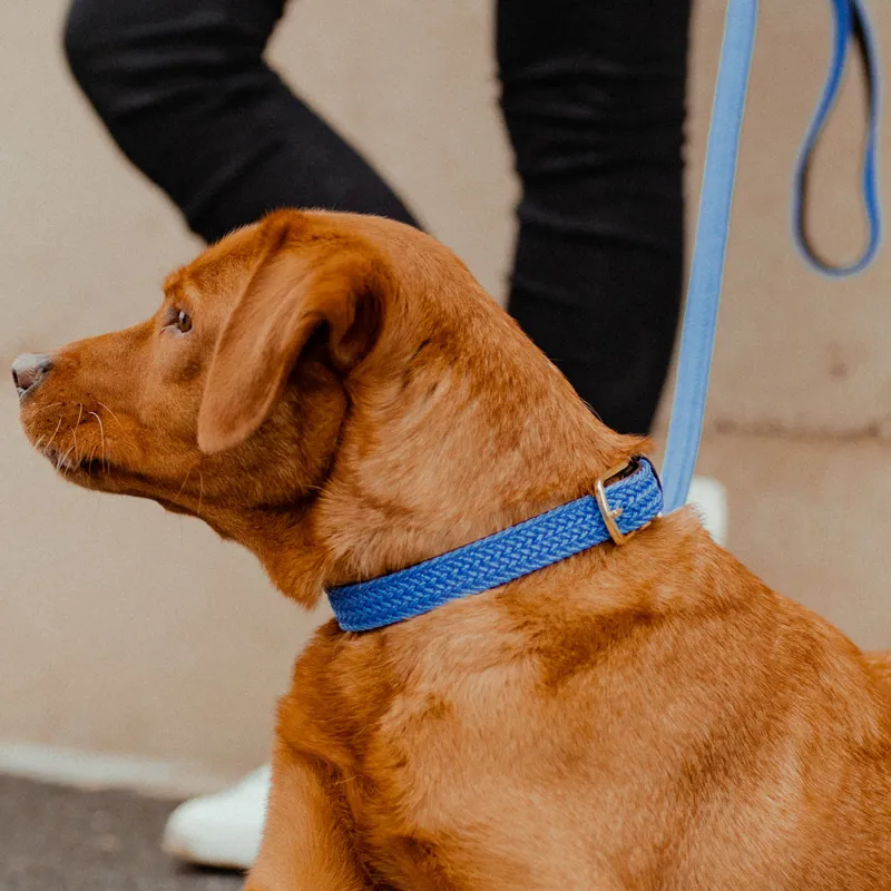 Kentucky Plaited Nylon Dog Collar - Light Blue