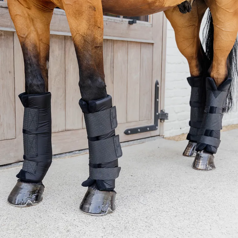 Kentucky PROtect Classic Stable/Travel Hind Boots - Black-5
