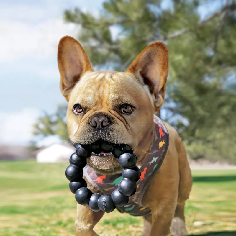 KONG Extreme Ring-1