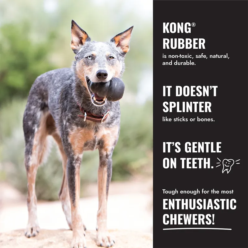 KONG Extreme Ball with Rope -4
