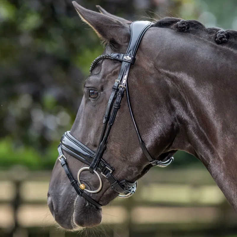 LeMieux Kudos Patent Rolled Dressage Bridle - Black-2