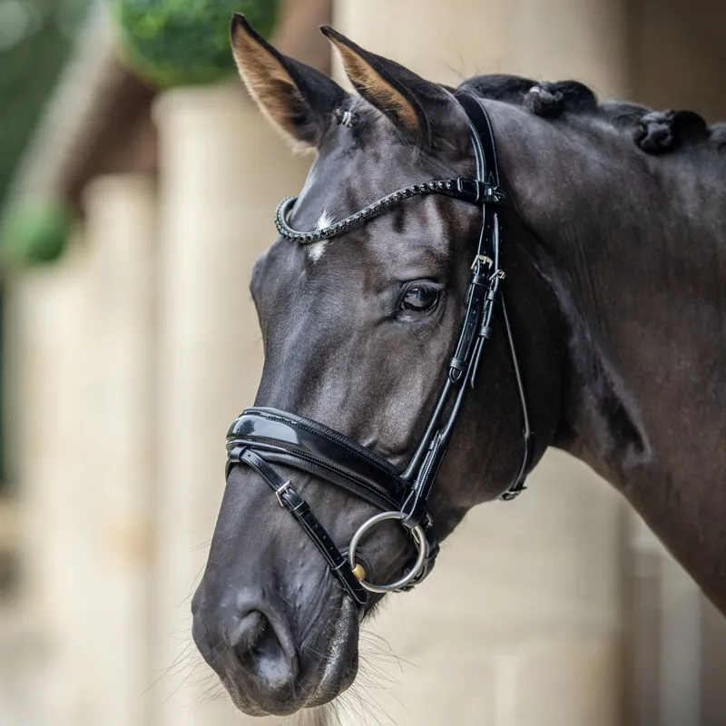 LeMieux Kudos Patent Rolled Dressage Bridle - Black-1