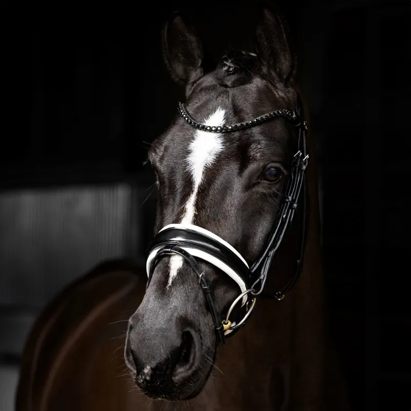 LeMieux Kudos Patent Rolled Dressage Bridle - Black/White-1