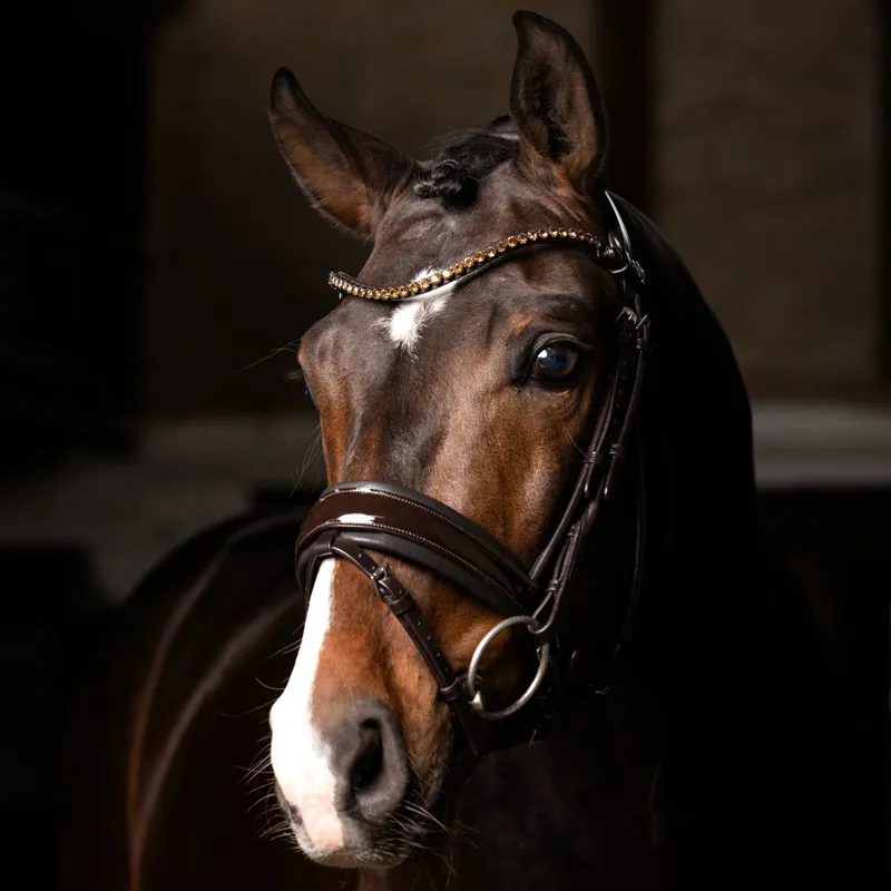 LeMieux Kudos Patent Rolled Dressage Bridle - Brown-1