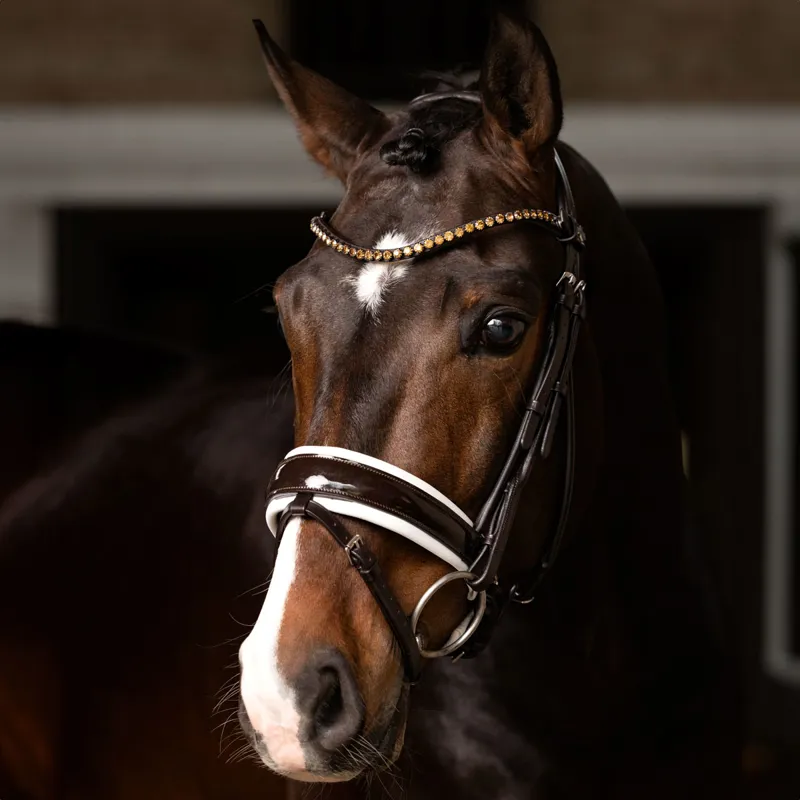 LeMieux Kudos Patent Rolled Dressage Bridle - Brown/White-2