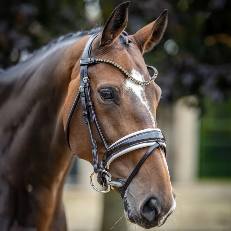 LeMieux Kudos Patent Rolled Dressage Bridle - Brown/White-1
