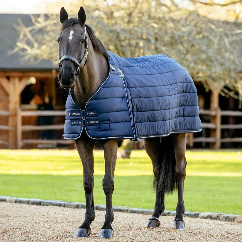 LeMieux Kudos 50g Rug Liner - Navy