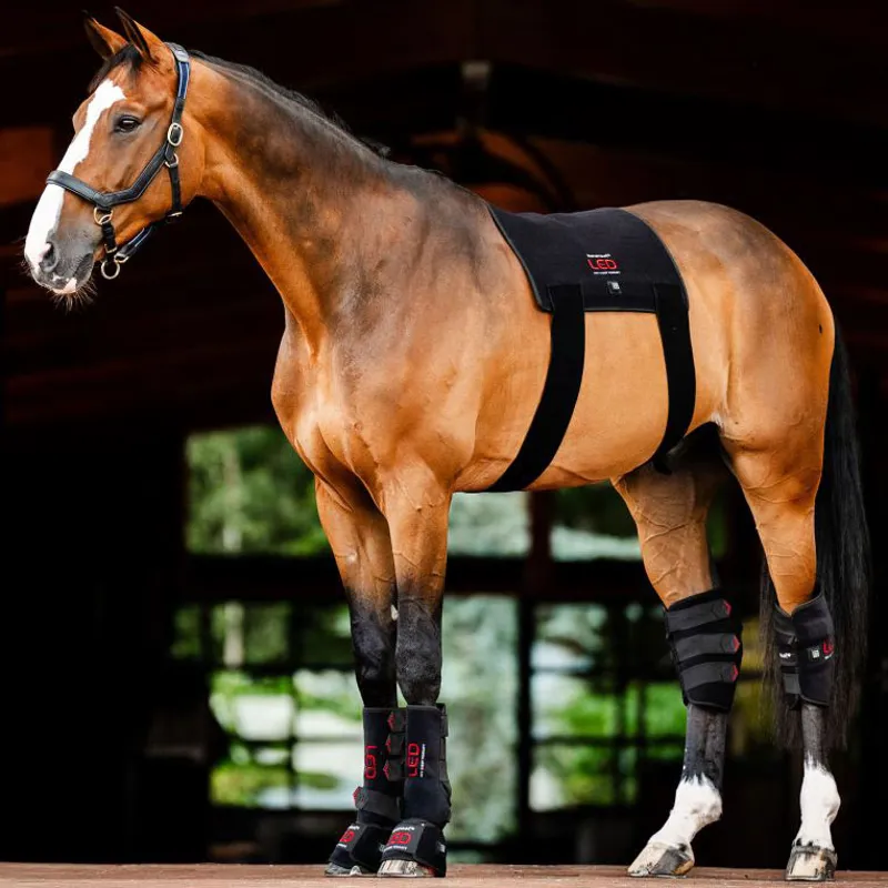 Horseware LED Red Light Therapy Pad -8