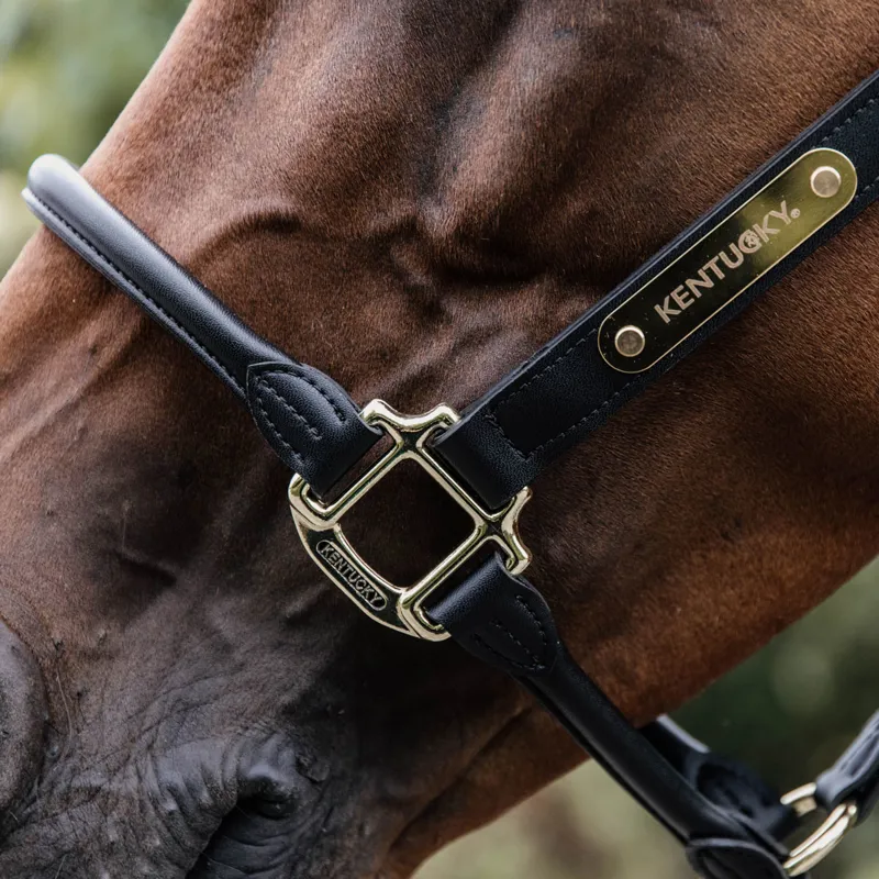 Kentucky Anatomic Artificial Leather Headcollar - Black-2