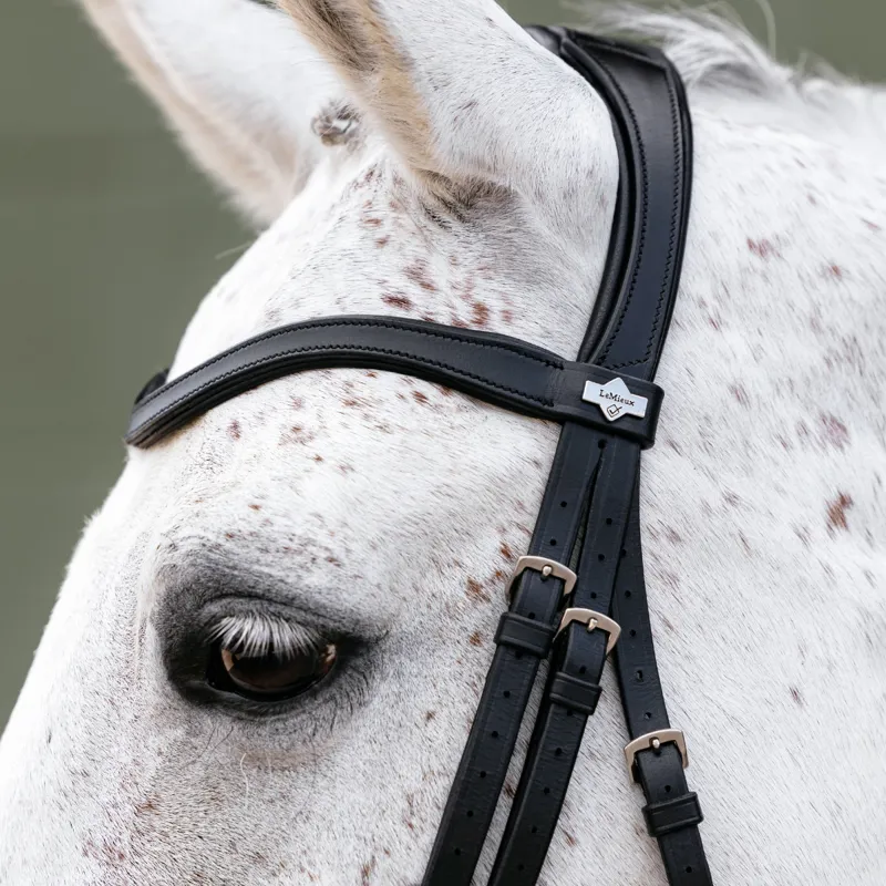 LeMieux Arika Anatomic Adjustable Noseband Bridle - Black/Silver-3