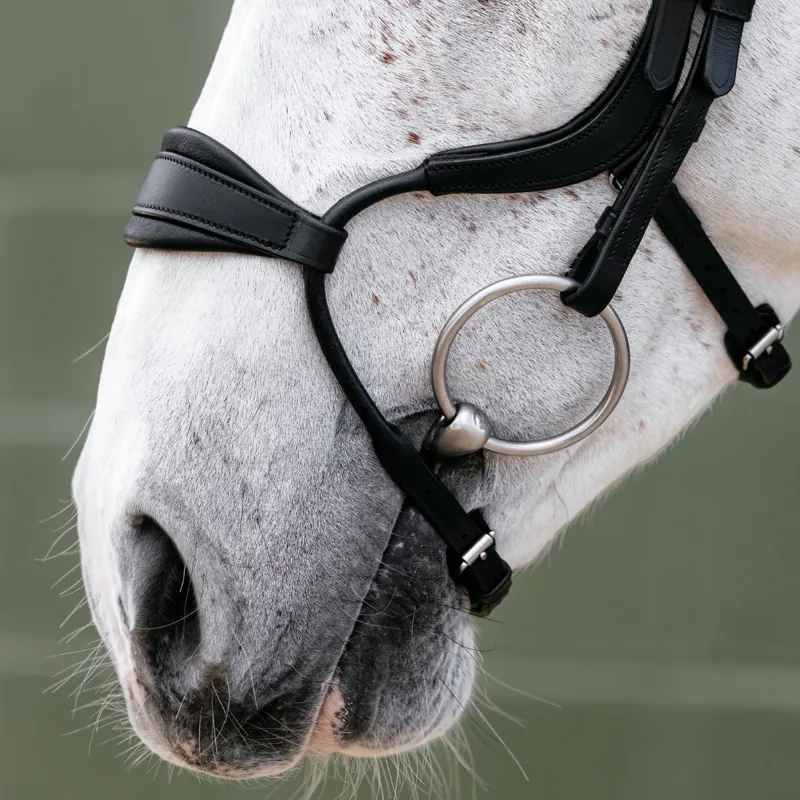 LeMieux Arika Anatomic Adjustable Noseband Bridle - Black/Silver-2