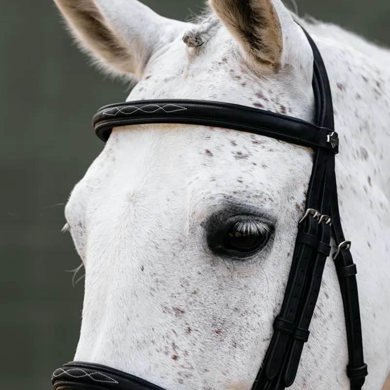 LeMieux Arika Classique Cavesson Bridle - Black/Silver-4
