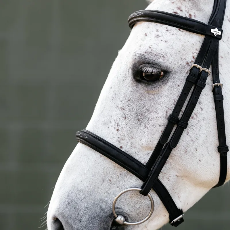 LeMieux Arika Classique Cavesson Bridle - Black/Silver-3