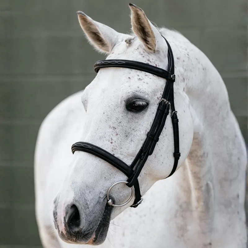LeMieux Arika Classique Cavesson Bridle - Black/Silver-2