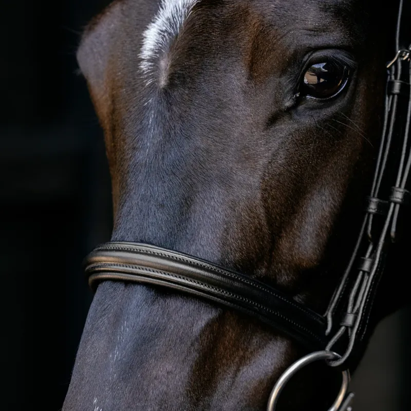 LeMieux Arika Anatomic Cavesson Bridle - Black/Silver-3