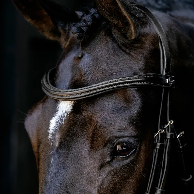 LeMieux Arika Anatomic Cavesson Bridle - Black/Silver-2