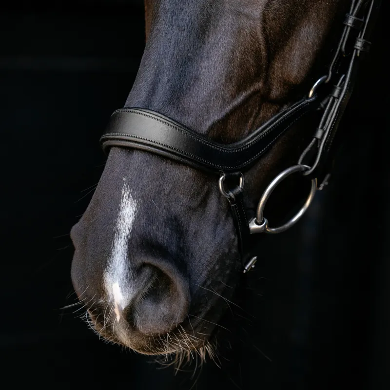 LeMieux Arika Anatomic Drop Bridle - Black/Silver-3