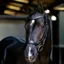 LeMieux Arika Anatomic Drop Bridle - Black/Silver