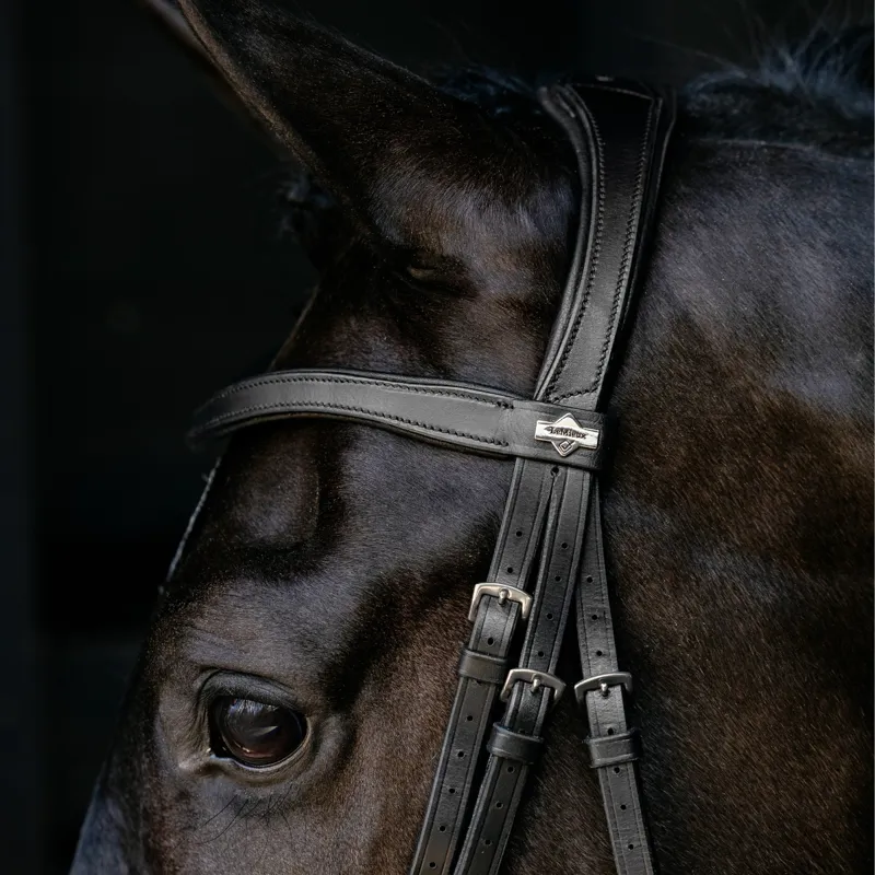 LeMieux Arika Anatomic Drop Bridle - Black/Silver-2