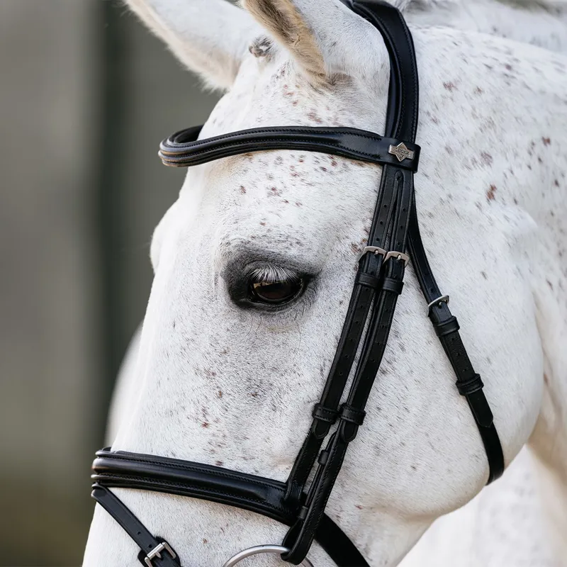 LeMieux Arika Anatomic Flash Bridle - Black/Silver-2