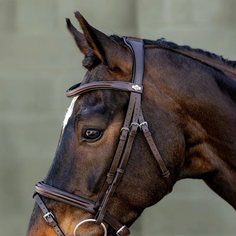 LeMieux Arika Anatomic Flash Bridle - Brown/Silver-1