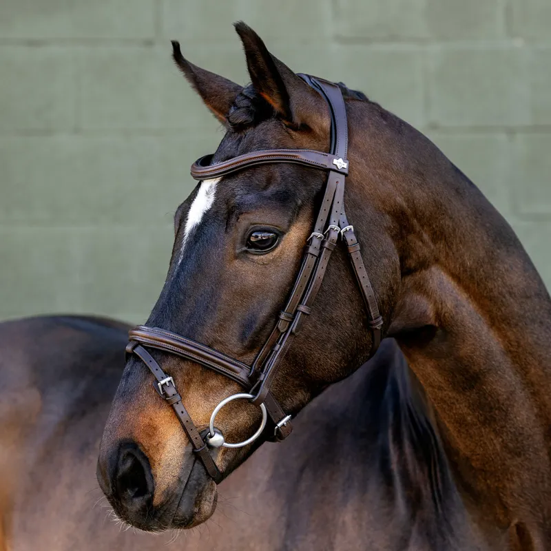 LeMieux Arika Anatomic Flash Bridle - Brown/Silver-2