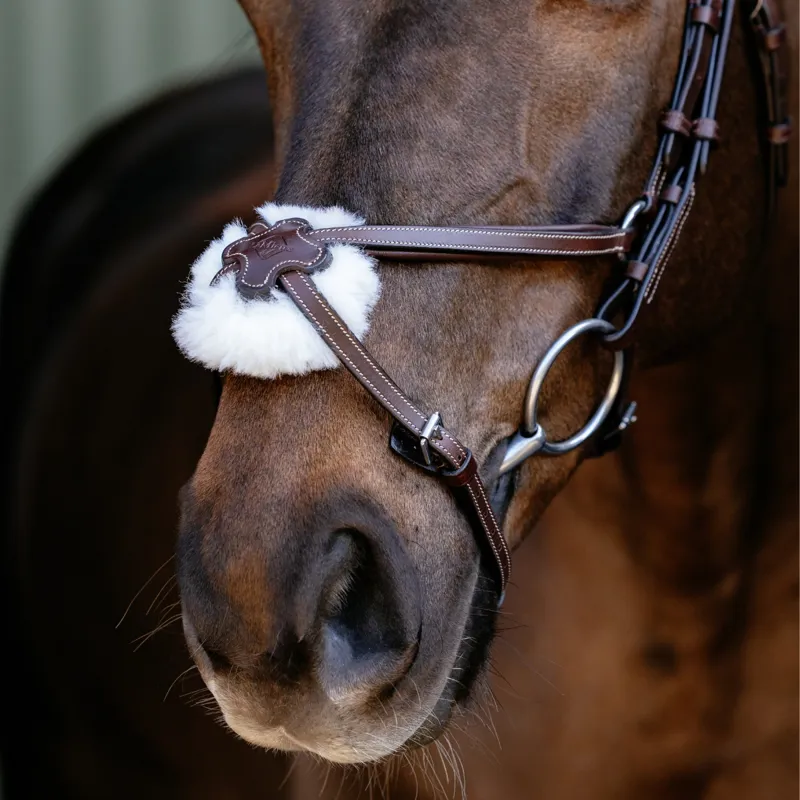LeMieux Arika Anatomic Grackle Bridle - Havana/Silver-4