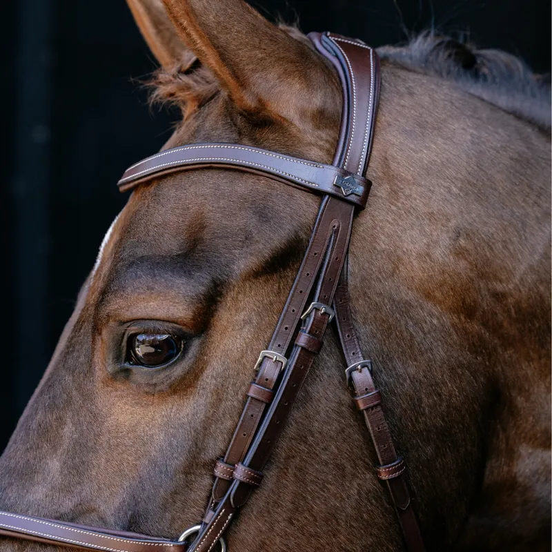 LeMieux Arika Anatomic Grackle Bridle - Havana/Silver-3