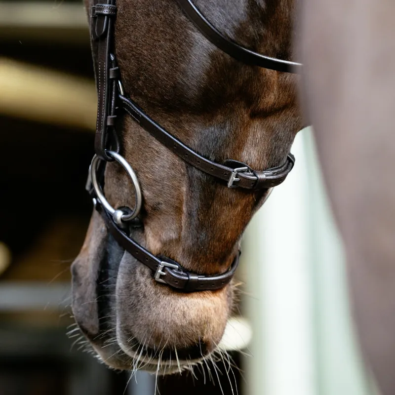 LeMieux Arika Anatomic Grackle Bridle - Havana/Silver-2