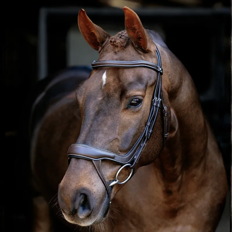 LeMieux Arika Anatomic Split Noseband Bridle - Brown/Silver-4
