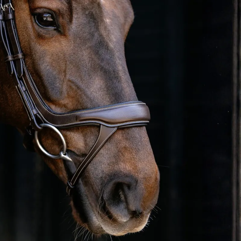 LeMieux Arika Anatomic Split Noseband Bridle - Brown/Silver-2
