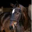 LeMieux Arika Classique Flash Bridle - Brown/Silver