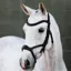 LeMieux Kudos Sport Bridle - Black/Silver