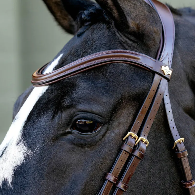 LeMieux Kudos Sport Bridle - Havana/Brass-2