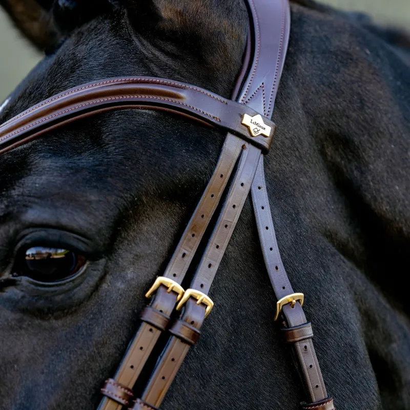 LeMieux Kudos Sport Bridle - Havana/Brass-4