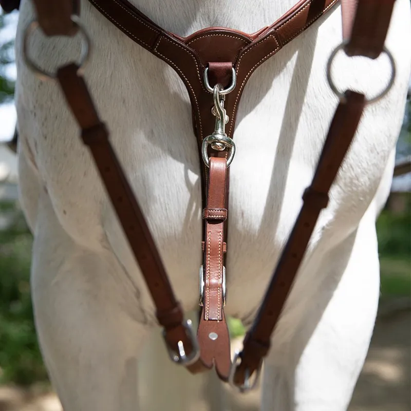 Antares Origin Running Martingale Attachment - Malt-5