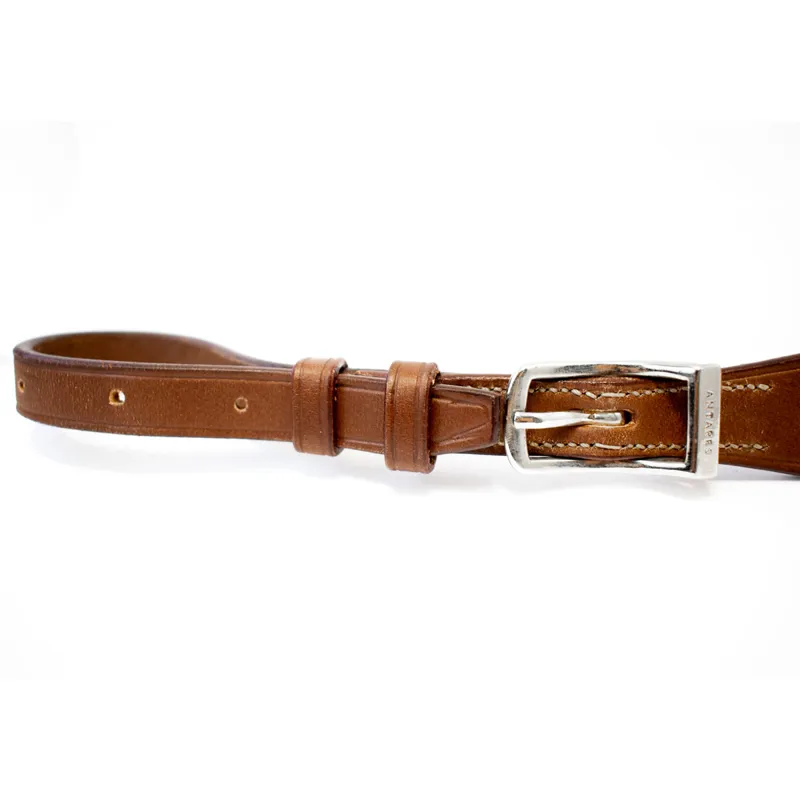 Antares Origin Running Martingale Attachment - Malt-1