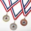 Elico Medal with Ribbon - Gold
