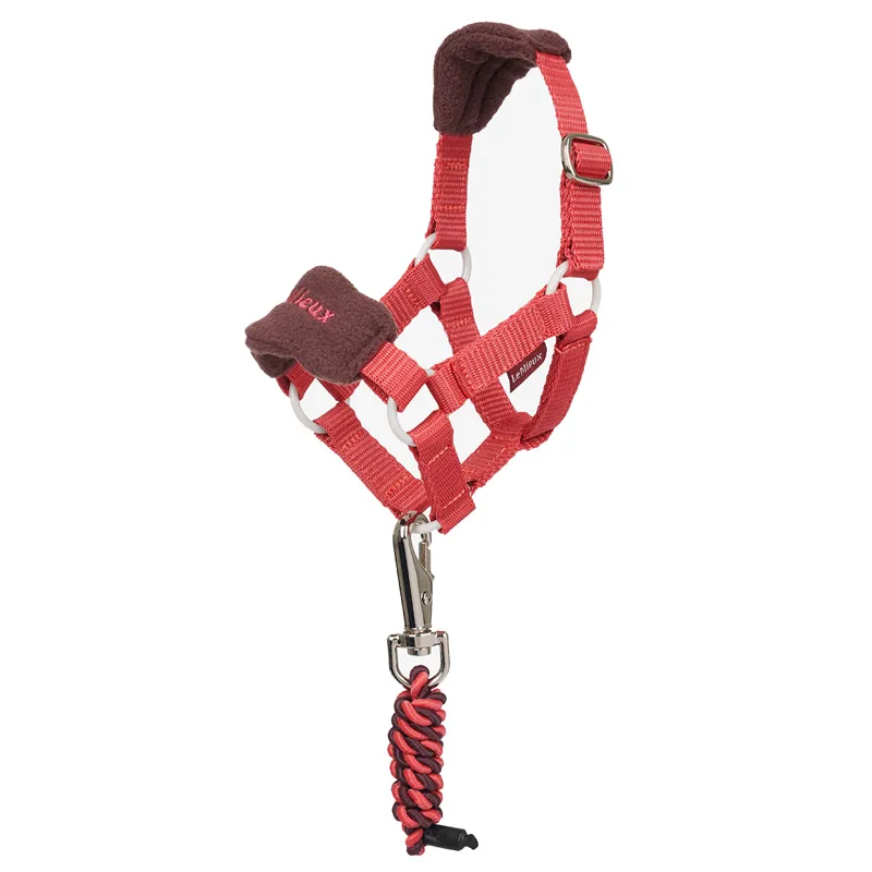 LeMieux Mini Toy Pony Vogue Headcollar - Cranberry