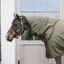 Kentucky All Weather Waterproof Pro 150g Turnout Neck Cover - Khaki