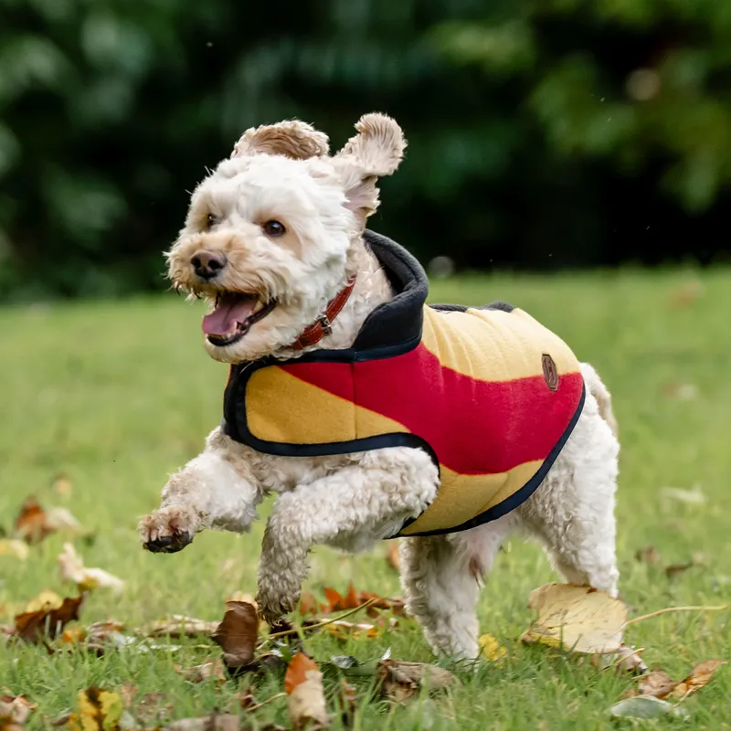 Horseware Newmarket Dog Fleece - Witney Gold-3