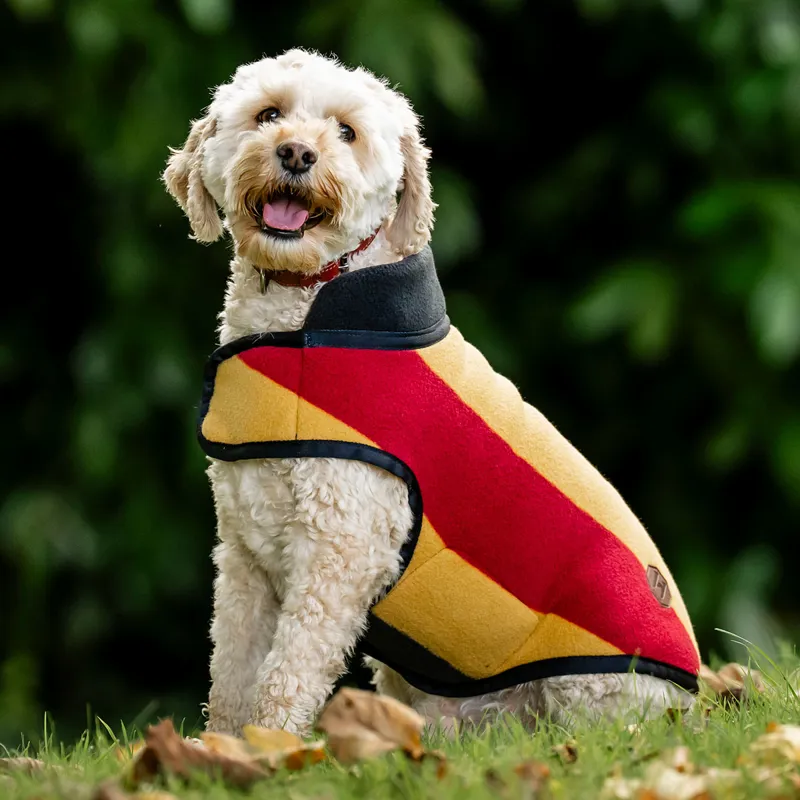 Horseware Newmarket Dog Fleece - Witney Gold