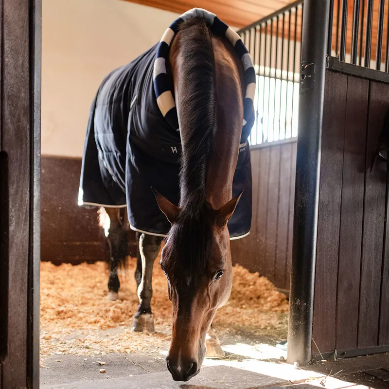 Horseware Newmarket Cosy 200g Stable Rug - Whitney Navy-11