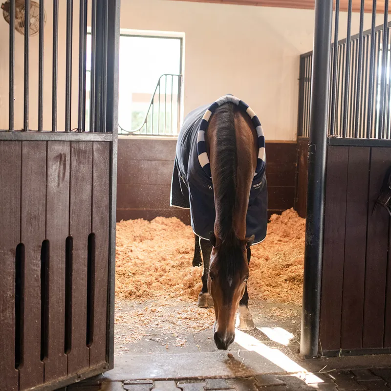 Horseware Newmarket Cosy 400g Stable Rug - Whitney Navy-10