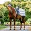 Horseware Newmarket Exercise Sheet - Whitney/Charcoal