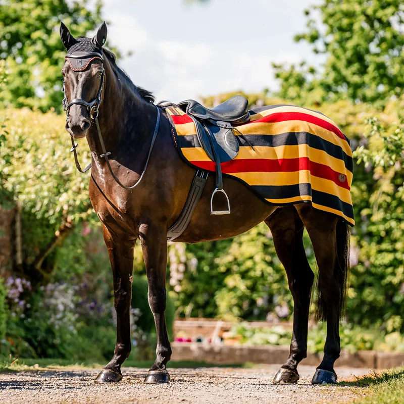 Horseware Newmarket Exercise Sheet - Whitney/Gold