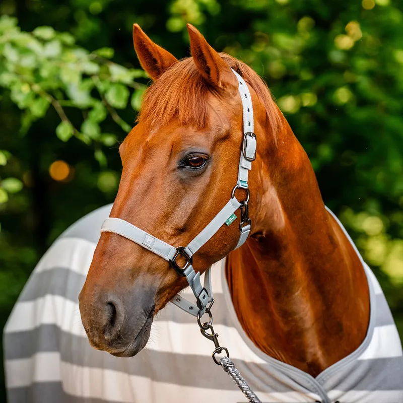 Horseware Newmarket Fleece Cooler Rug - Witney Charcoal-1