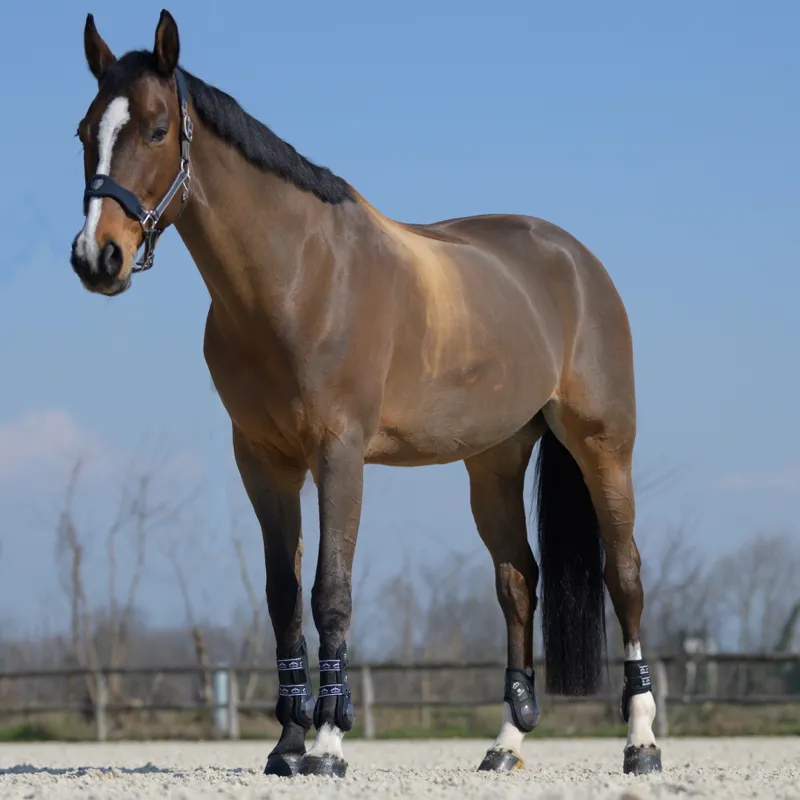 Veredus Olympus Absolute Rear Fetlock Boots - Black-2