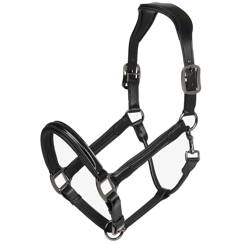 LeMieux Patent Leather Headcollar - Black